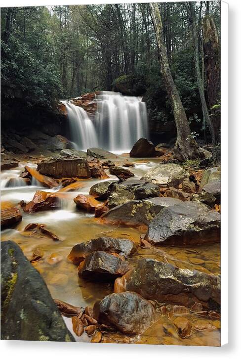 Pringle Run Falls - West Virginia - Canvas Print