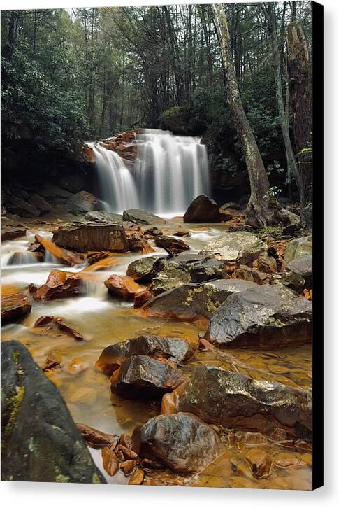 Pringle Run Falls - West Virginia - Canvas Print
