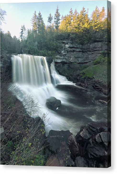 Blackwater Falls, West Virginia - Canvas Print