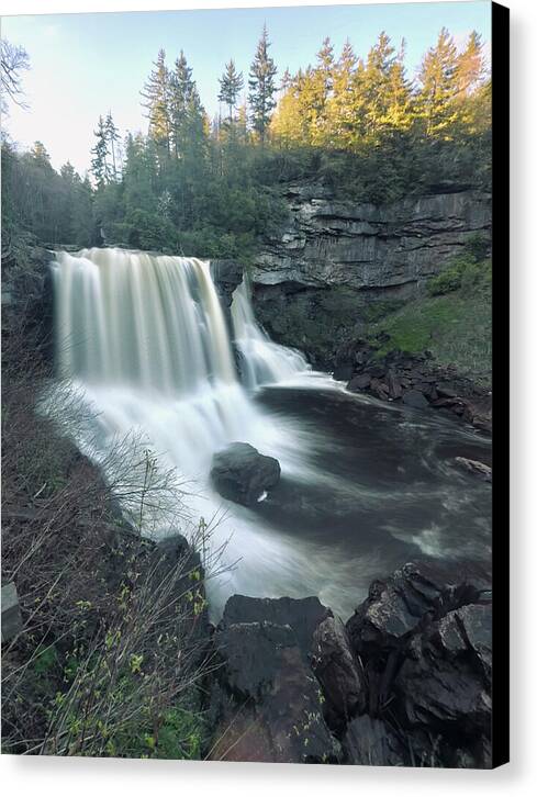 Blackwater Falls, West Virginia - Canvas Print