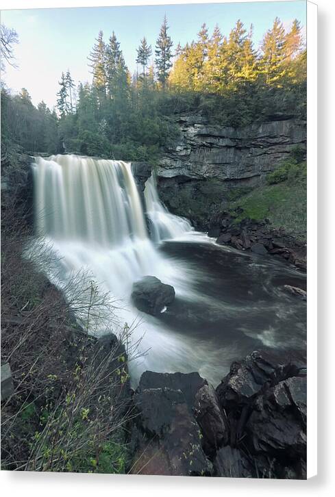 Blackwater Falls, West Virginia - Canvas Print