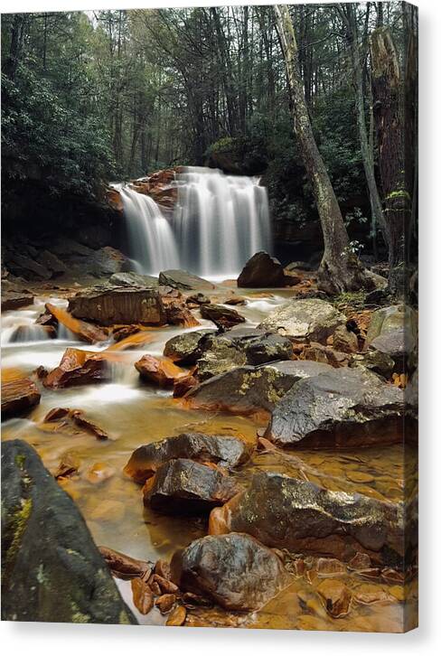 Pringle Run Falls - West Virginia - Canvas Print