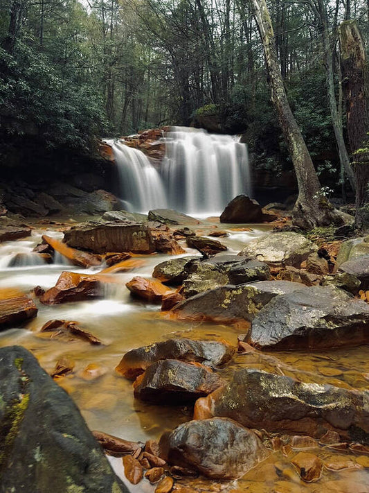 Pringle Run Falls - West Virginia - Art Print